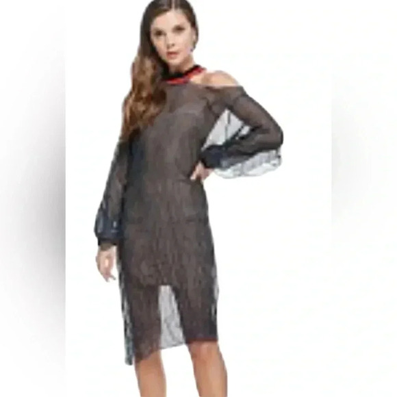 Tov Los Angeles RUFFLED SHEER DRESS    #302 - Picture 1 of 15